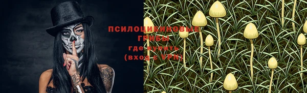 бошки Краснослободск