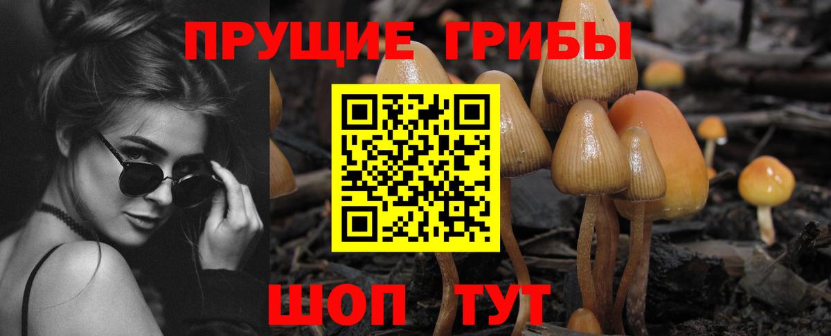 Галлюциногенные грибы Cubensis  Вход с VPN  Кольчугино 